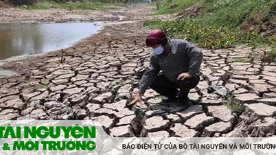 Thời tiết ngày càng cực đoan do tác động của El Nino
