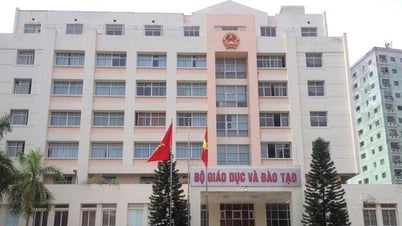 وزارة التربية والتعليم تخفض 6 حالات بعد إعادة هيكلة الجهاز