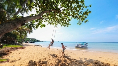 Giá vé máy bay Tết cản đường du lịch nội địa