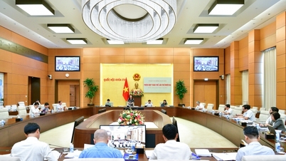 Cần có những chính sách “vượt trội”, khả thi để phát triển thành phố Hồ Chí Minh