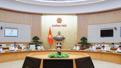 Thủ tướng phân công các thành viên Chính phủ giải quyết một số công việc cấp bách, trọng tâm
