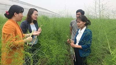 Consulting and developing specific policies to support women starting businesses