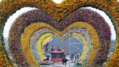 Video: Người dân mê mẩn tham quan Festival Hoa Mê Linh trước giờ “G”