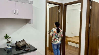 With a budget of less than 2 billion VND, the only way left is to buy a mini apartment.