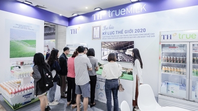 TH true MILK thu hút sự chú ý tại Triển lãm quốc tế Đổi mới sáng tạo