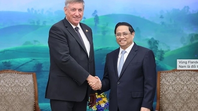 Thủ tướng Phạm Minh Chính tiếp Bộ trưởng - Thủ hiến vùng Flanders (Bỉ)
