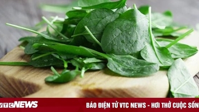 Is it good to eat Malabar spinach?