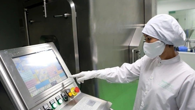 Tỷ lệ thuốc kém chất lượng liên tục giảm trong các mẫu giám sát