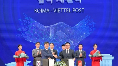 Viettel Post là cầu nối để phát triển thương mại xuyên biên giới
