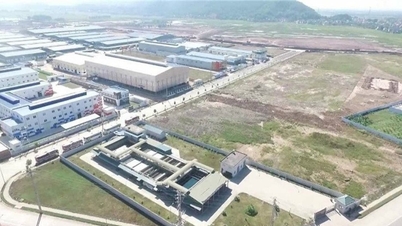 Bộ TN&MT ban hành Kế hoạch thanh tra năm 2025