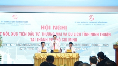 Ninh Thuan 'joins hands' with Ho Chi Minh City to attract investment