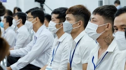 Taiwan increases basic salary for foreign workers to 21 million VND/month