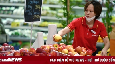 Chính phủ trình Quốc hội đề xuất giảm tiếp 2% thuế VAT đến giữa năm 2024