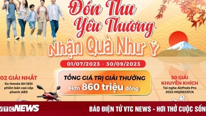 Dai-ichi Life Vietnam ចាប់ផ្តើមកម្មវិធីផ្សព្វផ្សាយ 'ស្វាគមន៍រដូវស្លឹកឈើជ្រុះដោយក្តីស្រលាញ់ ទទួលអំណោយដែលជូនពរ'