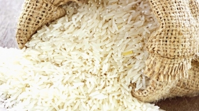 What decision did the Philippines make that caused Vietnam's rice export price to plummet?
