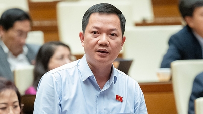 លោក Trinh Xuan An៖ ចាំបាច់ត្រូវមានតម្លាភាពអំពីតម្លៃបញ្ចូលនៃតម្លៃសំបុត្រយន្តហោះ