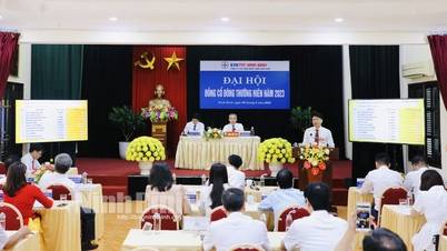 ក្រុមហ៊ុនភាគហ៊ុនរួម Ninh Binh Thermal Power មហាសន្និបាតប្រចាំឆ្នាំ 2023