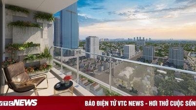 Mua chung cư nên chọn tầng cao hay thấp?