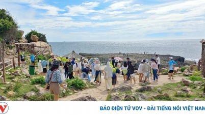 Cao tốc thông xe, lượng du khách về Ninh Thuận tăng hơn 66%