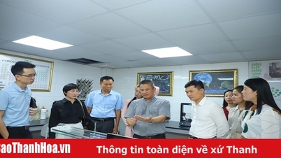 Hiệp hội doanh nghiệp TP Thanh Hoá thăm, làm việc với các doanh nghiệp hội viên tại Hà Nội