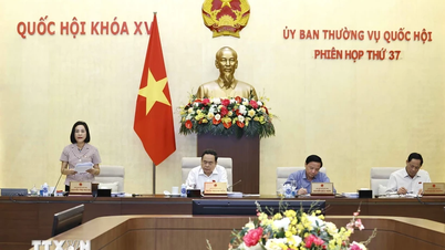 ច្បាប់ផ្សាយពាណិជ្ជកម្ម៖ វិសាលភាពនៃ "នៅលើបណ្តាញសង្គម" មិនគិតពីគ្រប់វេទិការទេ។