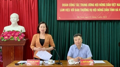 អនុប្រធានគណៈកម្មាធិការប្រតិបត្តិនៃសហភាពកសិករវៀតណាម Bui Thi Thom បានធ្វើការជាមួយសហភាពកសិករខេត្ត Ha Nam។