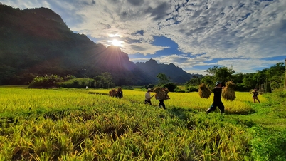 អត្តសញ្ញាណវប្បធម៌របស់ជនជាតិ Tay នៅតំបន់ Dong Ho