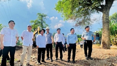 Vinh Thanh s'associe pour accélérer l'avancement des projets clés