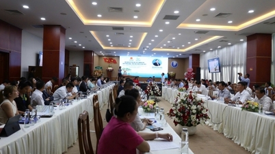 Khai mạc Hội nghị kết nối xúc tiến thương mại sản phẩm nông, thủy sản tại Cà Mau