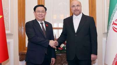Speaker of the National Assembly meets with the President and Speaker of the Iranian Parliament