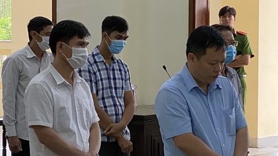 Cựu giám đốc Agribank Cần Thơ tiếp tục bị cáo buộc gây thiệt hại hơn 300 tỷ đồng