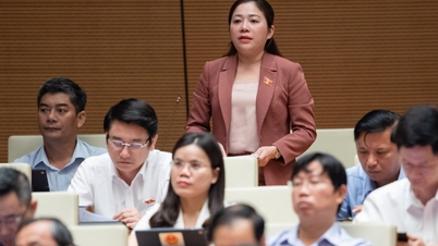 第15期国会第5回会議：少数民族地域の貧困削減に向けた多くの解決策を同時実施