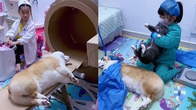 Bé gái nổi tiếng vì nhập vai bác sĩ cùng thú cưng