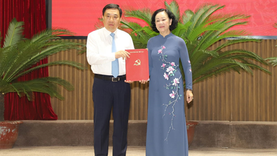 Bộ Chính trị phân công đồng chí Nguyễn Mạnh Dũng giữ chức Quyền Bí thư Tỉnh ủy Hà Giang