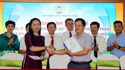 Chuyển đổi số là chìa khóa thành công cho HTX Hà Tĩnh, tại sao lai nói như vậy?