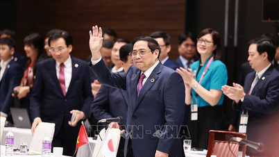 Prime Minister attends Vietnam - Japan Business Forum