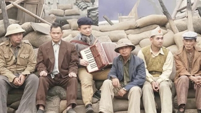 Cục trưởng Cục Điện ảnh nêu ba lý do phim Đào, phở và piano thu 21 tỉ đồng