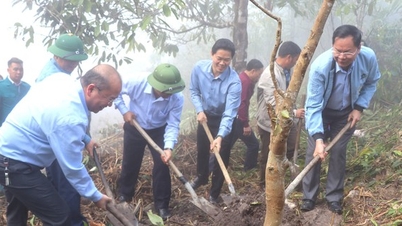 Hội Nông dân Lai Châu tổ chức trồng cây xanh, cải tạo cảnh quan môi trường ở bản Can Tỷ 2 xa xôi
