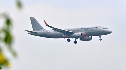 Cục Hàng không yêu cầu Pacific Airlines sớm bay trở lại