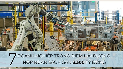 [រូបភាព] សហគ្រាសសំខាន់ៗចំនួន ៧ របស់ Hai Duong បានចំណាយថវិកាជិត ៣.៣០០ ពាន់លានដុង