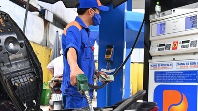 Giá xăng dầu biến động ra sao trong tuần mới?