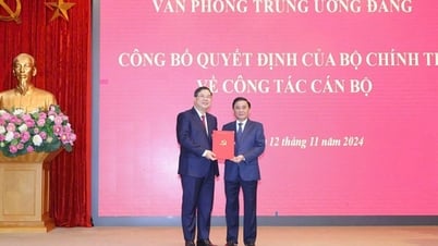Bí thư Tỉnh ủy Nam Định làm Phó chánh văn phòng Trung ương Đảng