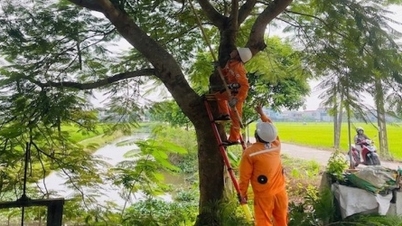 EVNNPC sẵn sàng các phương án phòng chống bão Yagi