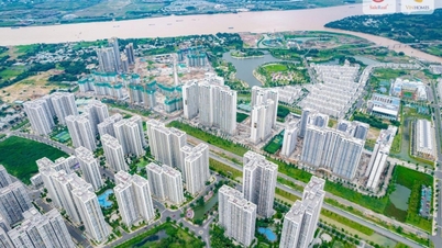 Cho phép người gốc Việt Nam thừa kế đất đai