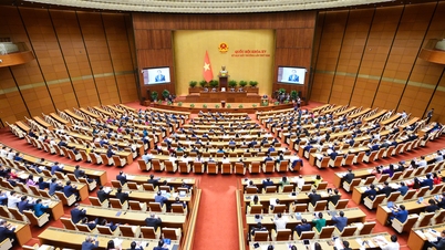 National Assembly approves dismissal of 2 Deputy Prime Ministers and 2 Ministers