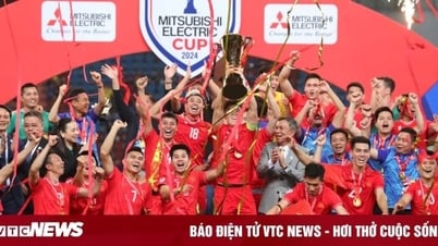 ឈ្នះពាន AFF Cup 2024 តើក្រុមវៀតណាមនឹងទទួលបានរង្វាន់ប៉ុន្មាន?