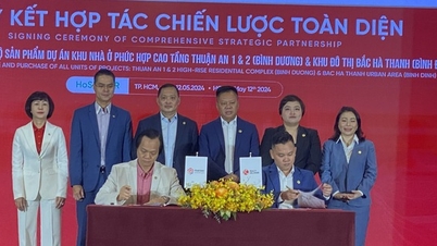Realty Holdings mua lại 2 dự án của Phát Đạt trị giá 40.000 tỉ đồng