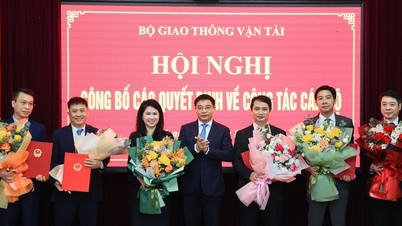 교통부는 많은 중요인력을 동원하여 임명한다.