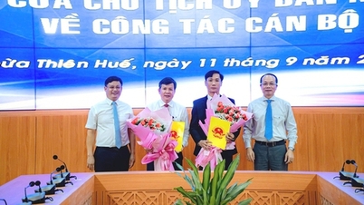 The principal of the high school was appointed as Deputy Director of the Department of Education and Training of Thua Thien Hue province.