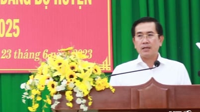 គណៈកម្មាធិការបក្សស្រុក Thuan Nam និងការិយាល័យគណៈប្រតិភូរដ្ឋសភា និងក្រុមប្រឹក្សាប្រជាជនខេត្ត៖ ពិនិត្យបឋមលើការអនុវត្តដំណោះស្រាយពាក់កណ្តាលអាណត្តិ